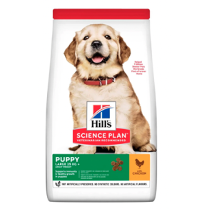 HILL'S SCIENCE PLAN Large Breed hvalpefoder med kylling - 12 kg