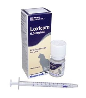 ingeniørarbejde lugt adgang Loxicom 30 ml til kat - Medicin - Dyrenes Webshop